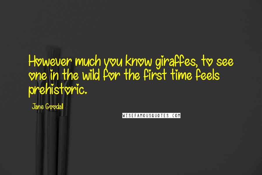 Jane Goodall Quotes: However much you know giraffes, to see one in the wild for the first time feels prehistoric.