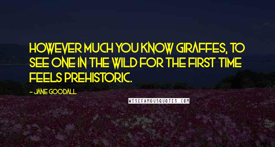 Jane Goodall Quotes: However much you know giraffes, to see one in the wild for the first time feels prehistoric.