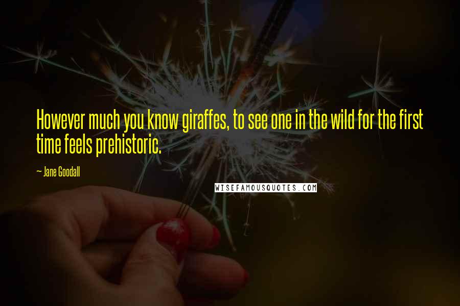 Jane Goodall Quotes: However much you know giraffes, to see one in the wild for the first time feels prehistoric.