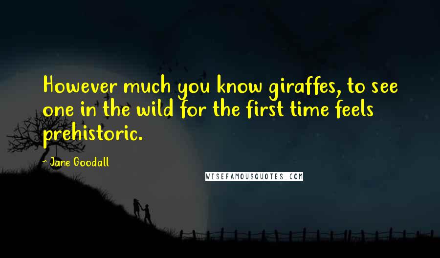 Jane Goodall Quotes: However much you know giraffes, to see one in the wild for the first time feels prehistoric.