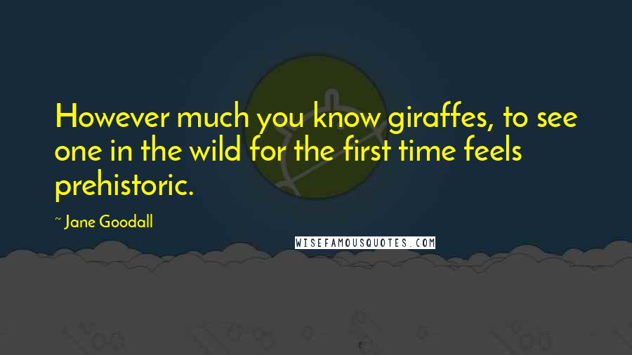 Jane Goodall Quotes: However much you know giraffes, to see one in the wild for the first time feels prehistoric.