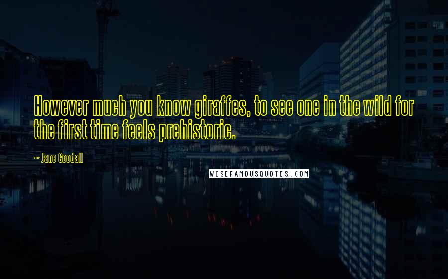 Jane Goodall Quotes: However much you know giraffes, to see one in the wild for the first time feels prehistoric.