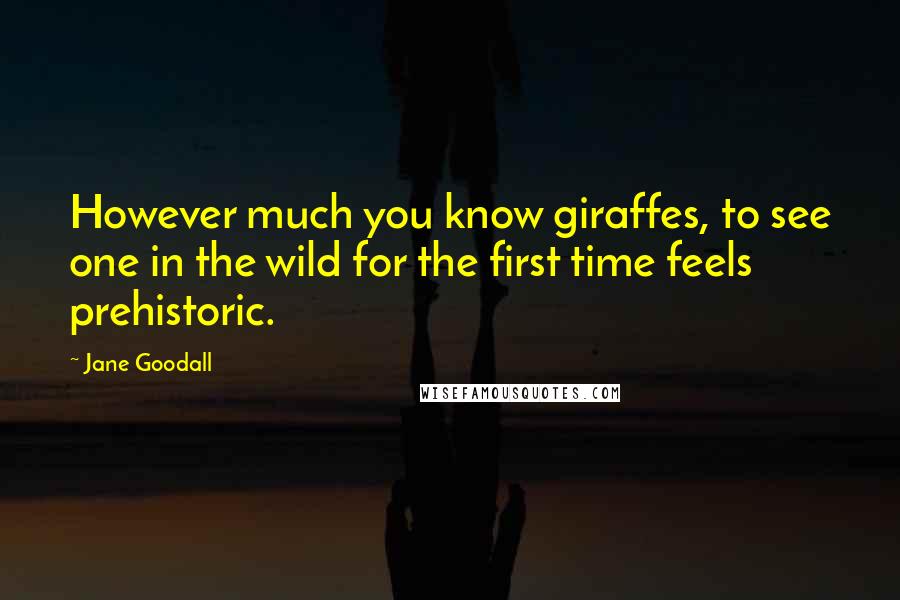 Jane Goodall Quotes: However much you know giraffes, to see one in the wild for the first time feels prehistoric.