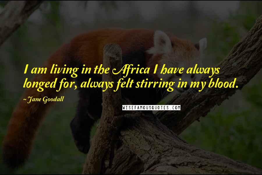 Jane Goodall Quotes: I am living in the Africa I have always longed for, always felt stirring in my blood.