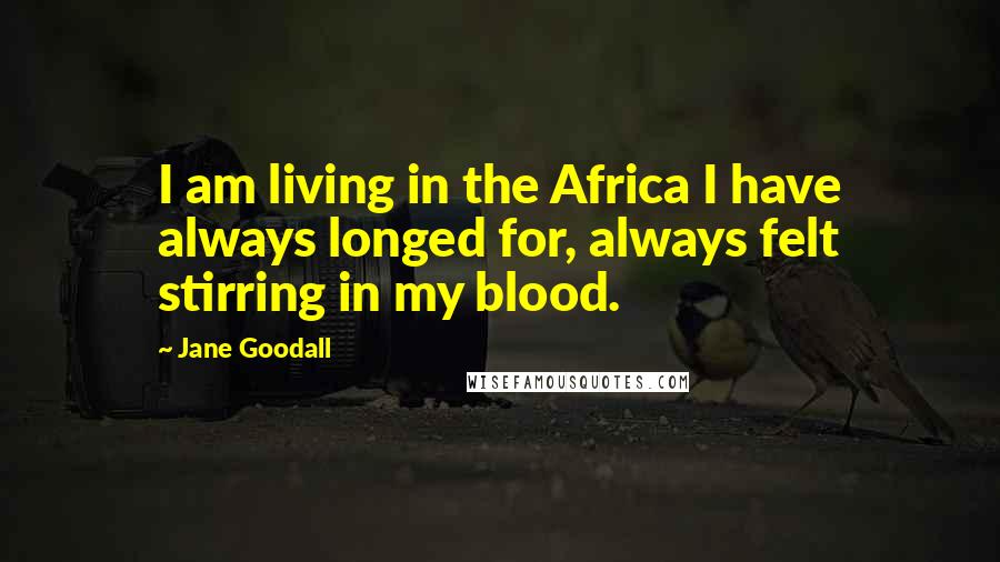 Jane Goodall Quotes: I am living in the Africa I have always longed for, always felt stirring in my blood.