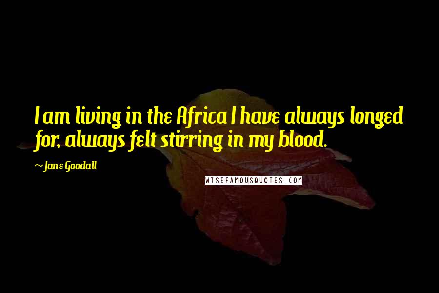 Jane Goodall Quotes: I am living in the Africa I have always longed for, always felt stirring in my blood.