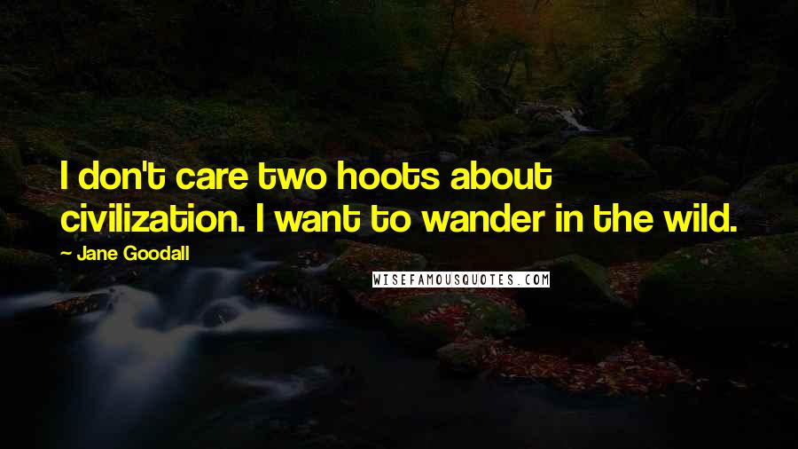 Jane Goodall Quotes: I don't care two hoots about civilization. I want to wander in the wild.