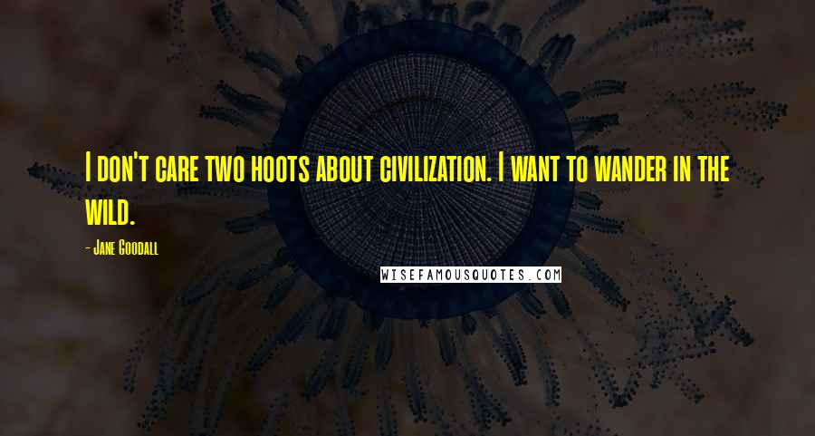 Jane Goodall Quotes: I don't care two hoots about civilization. I want to wander in the wild.