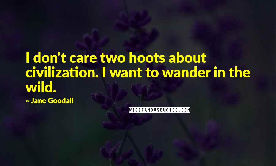 Jane Goodall Quotes: I don't care two hoots about civilization. I want to wander in the wild.