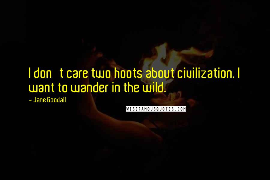 Jane Goodall Quotes: I don't care two hoots about civilization. I want to wander in the wild.
