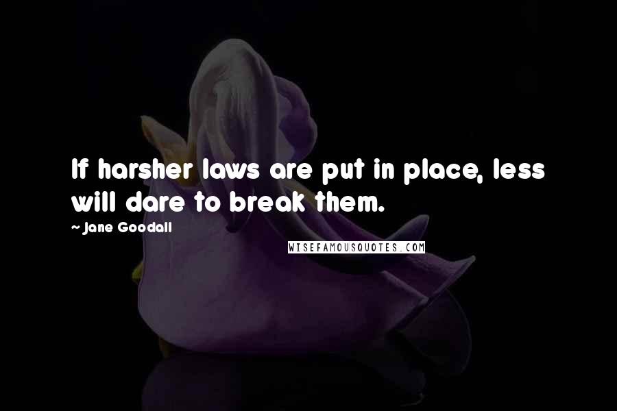 Jane Goodall Quotes: If harsher laws are put in place, less will dare to break them.