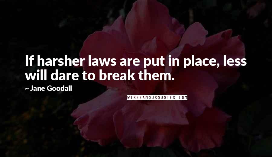 Jane Goodall Quotes: If harsher laws are put in place, less will dare to break them.