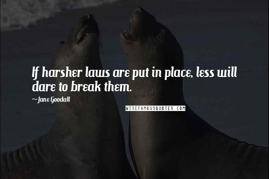 Jane Goodall Quotes: If harsher laws are put in place, less will dare to break them.