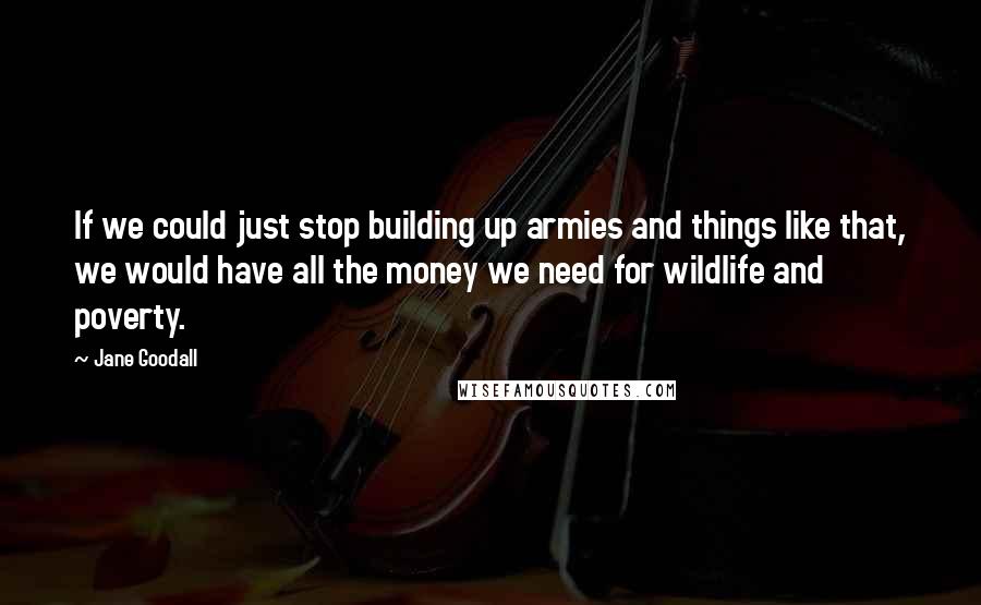 Jane Goodall Quotes: If we could just stop building up armies and things like that, we would have all the money we need for wildlife and poverty.