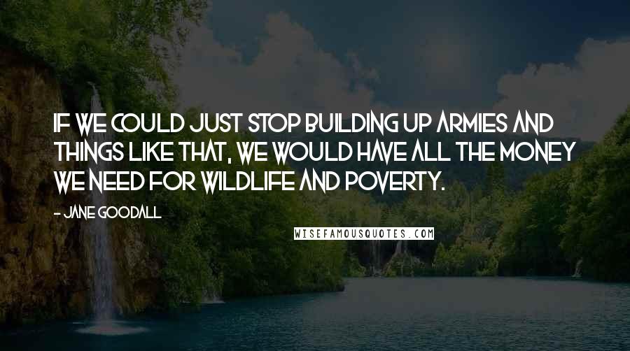 Jane Goodall Quotes: If we could just stop building up armies and things like that, we would have all the money we need for wildlife and poverty.