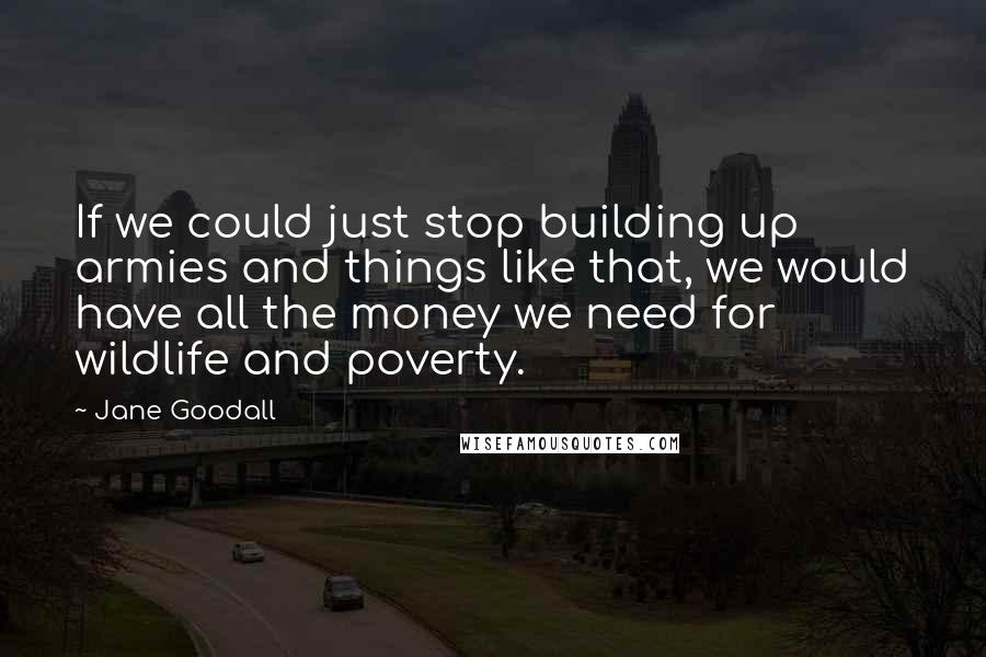 Jane Goodall Quotes: If we could just stop building up armies and things like that, we would have all the money we need for wildlife and poverty.