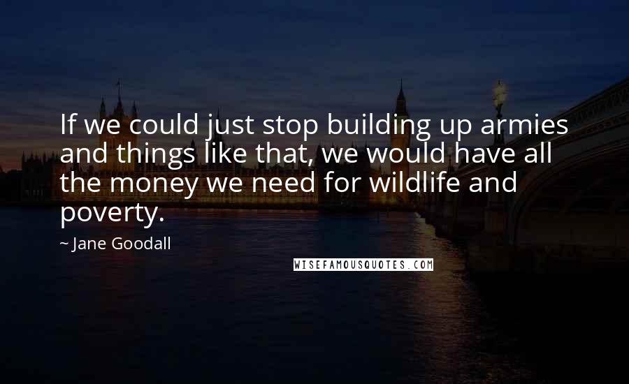 Jane Goodall Quotes: If we could just stop building up armies and things like that, we would have all the money we need for wildlife and poverty.