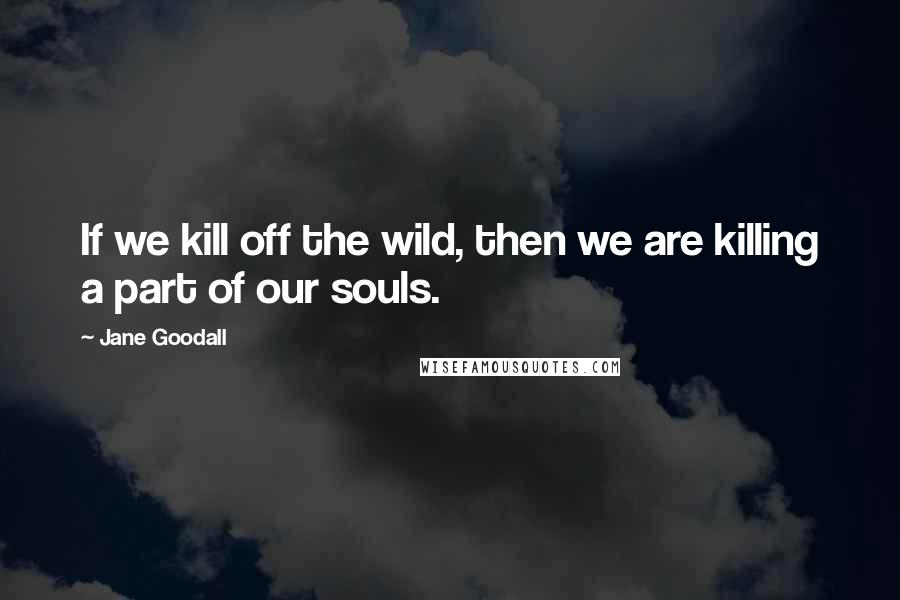 Jane Goodall Quotes: If we kill off the wild, then we are killing a part of our souls.