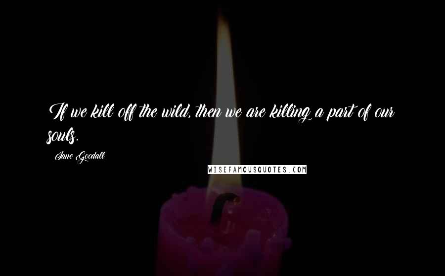Jane Goodall Quotes: If we kill off the wild, then we are killing a part of our souls.