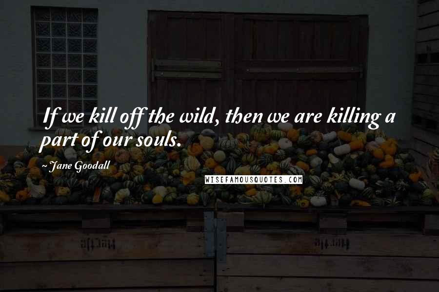 Jane Goodall Quotes: If we kill off the wild, then we are killing a part of our souls.