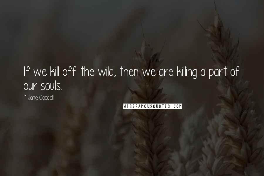 Jane Goodall Quotes: If we kill off the wild, then we are killing a part of our souls.