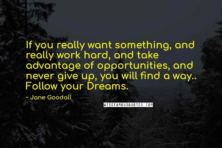 Jane Goodall Quotes: If you really want something, and really work hard, and take advantage of opportunities, and never give up, you will find a way.. Follow your Dreams.