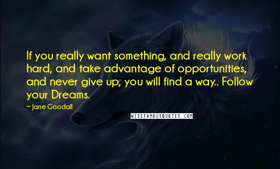 Jane Goodall Quotes: If you really want something, and really work hard, and take advantage of opportunities, and never give up, you will find a way.. Follow your Dreams.