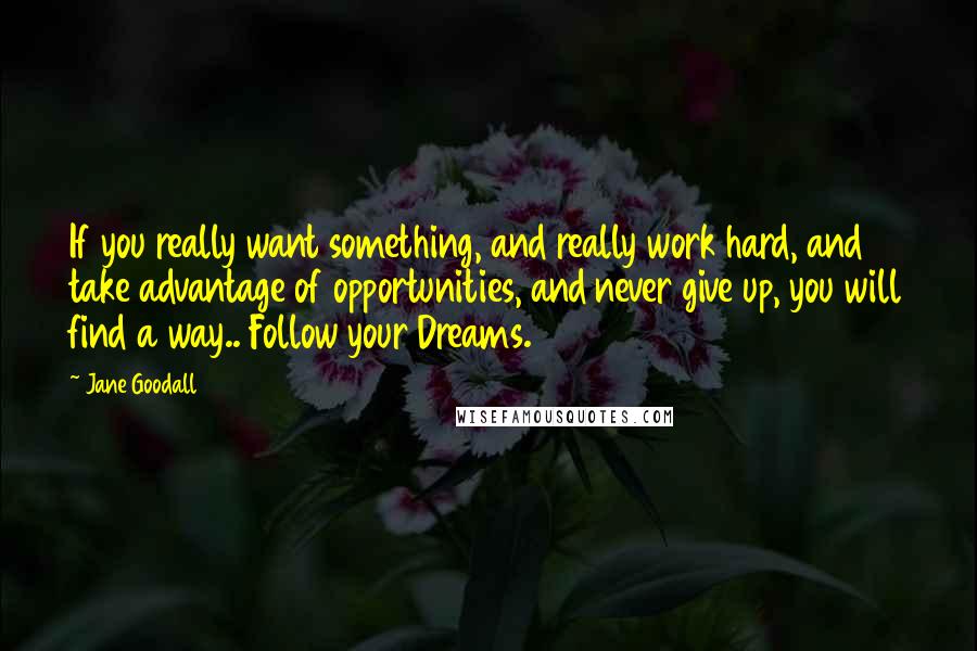 Jane Goodall Quotes: If you really want something, and really work hard, and take advantage of opportunities, and never give up, you will find a way.. Follow your Dreams.