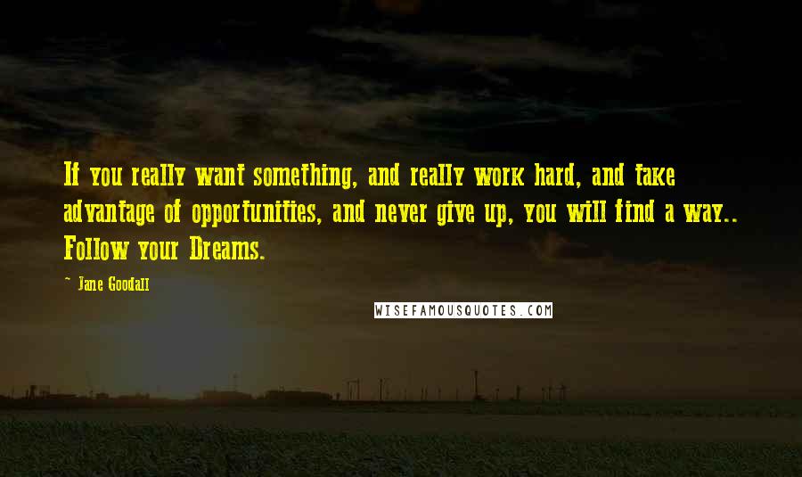 Jane Goodall Quotes: If you really want something, and really work hard, and take advantage of opportunities, and never give up, you will find a way.. Follow your Dreams.