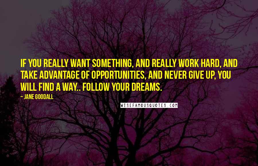 Jane Goodall Quotes: If you really want something, and really work hard, and take advantage of opportunities, and never give up, you will find a way.. Follow your Dreams.