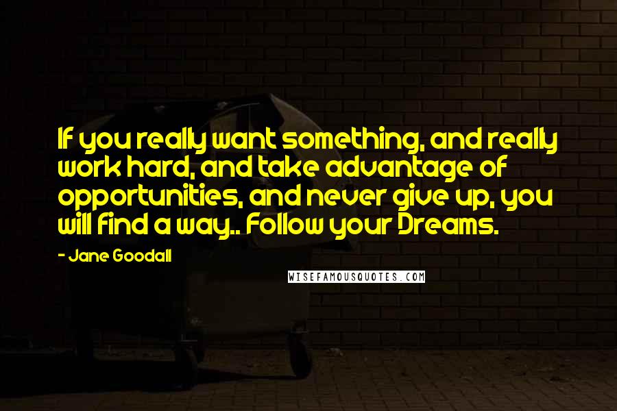 Jane Goodall Quotes: If you really want something, and really work hard, and take advantage of opportunities, and never give up, you will find a way.. Follow your Dreams.