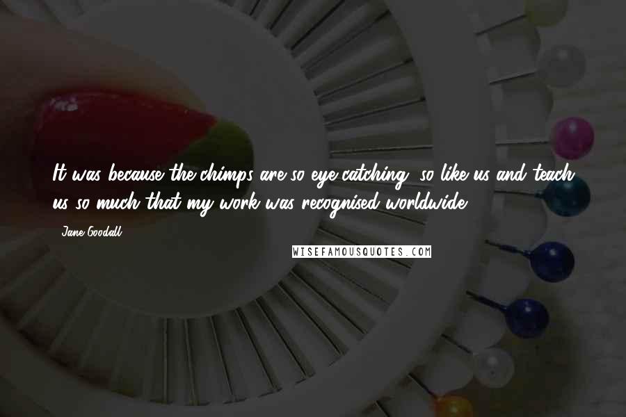 Jane Goodall Quotes: It was because the chimps are so eye-catching, so like us and teach us so much that my work was recognised worldwide.