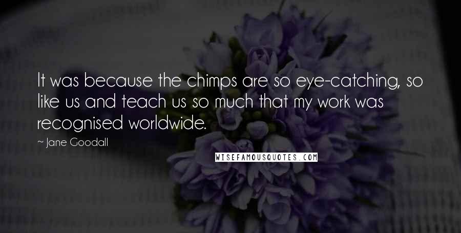 Jane Goodall Quotes: It was because the chimps are so eye-catching, so like us and teach us so much that my work was recognised worldwide.