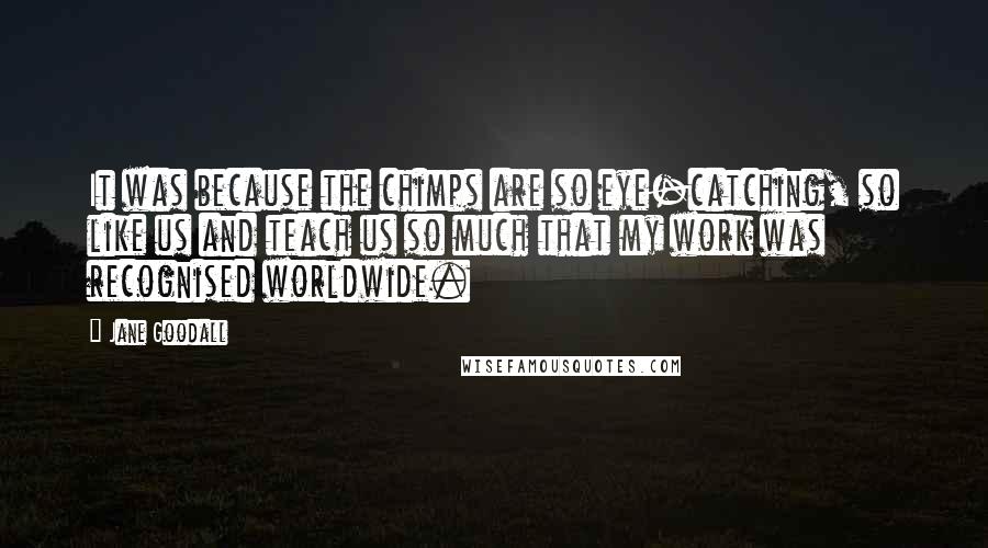 Jane Goodall Quotes: It was because the chimps are so eye-catching, so like us and teach us so much that my work was recognised worldwide.