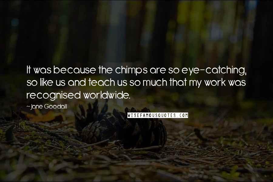 Jane Goodall Quotes: It was because the chimps are so eye-catching, so like us and teach us so much that my work was recognised worldwide.