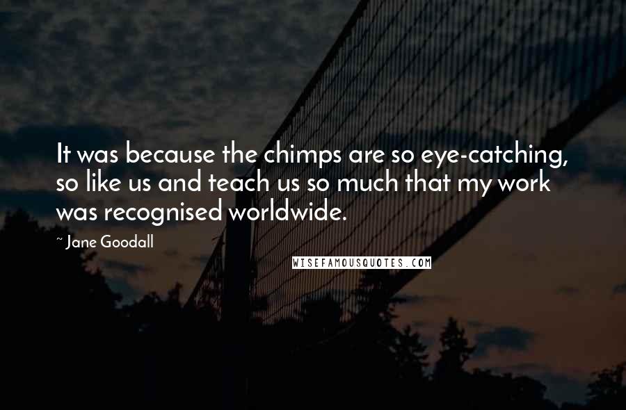 Jane Goodall Quotes: It was because the chimps are so eye-catching, so like us and teach us so much that my work was recognised worldwide.