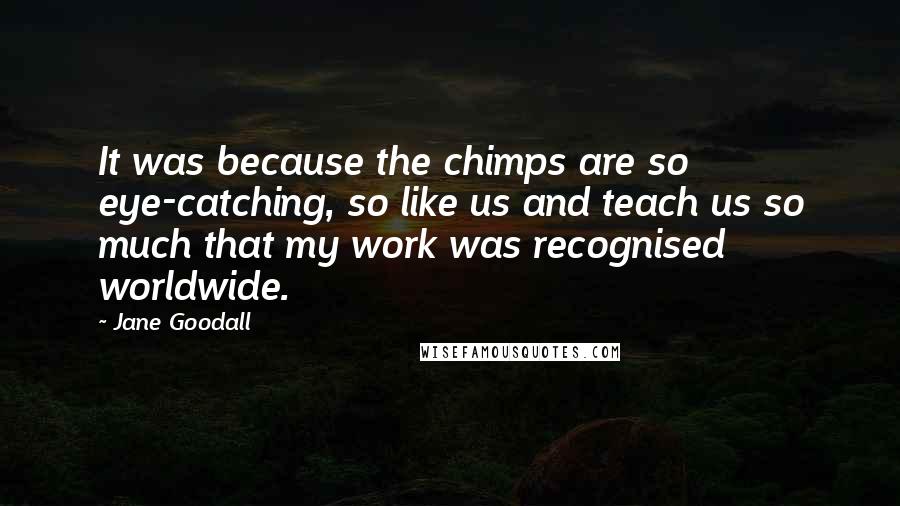 Jane Goodall Quotes: It was because the chimps are so eye-catching, so like us and teach us so much that my work was recognised worldwide.