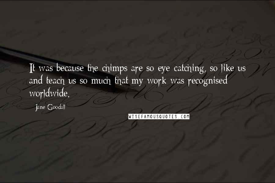 Jane Goodall Quotes: It was because the chimps are so eye-catching, so like us and teach us so much that my work was recognised worldwide.