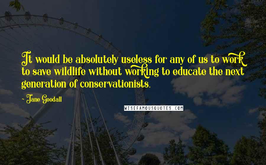 Jane Goodall Quotes: It would be absolutely useless for any of us to work to save wildlife without working to educate the next generation of conservationists.