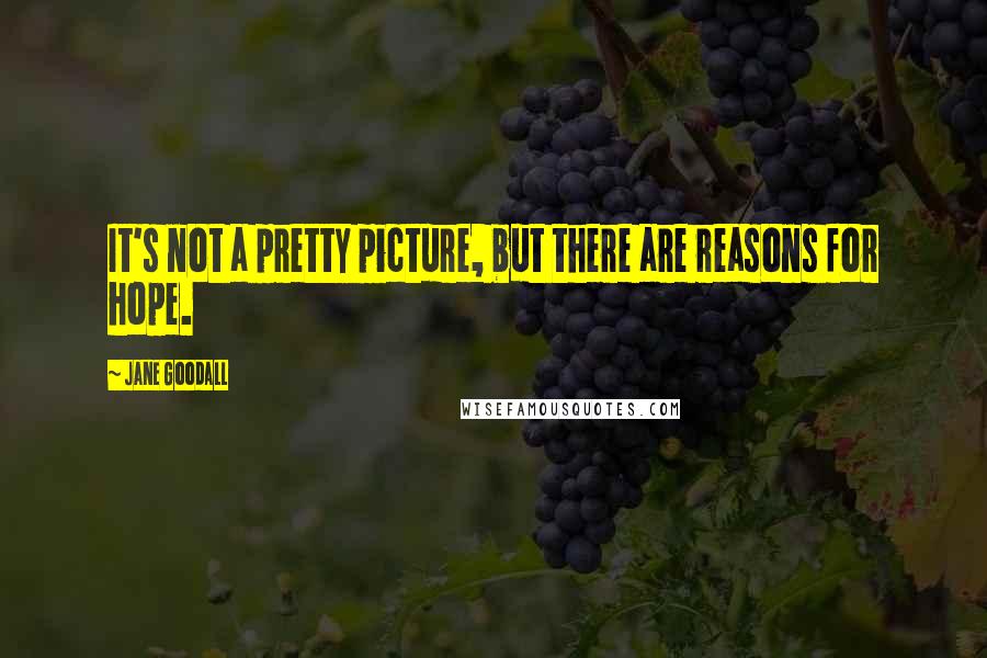 Jane Goodall Quotes: It's not a pretty picture, but there are reasons for hope.