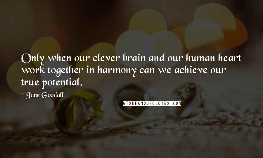 Jane Goodall Quotes: Only when our clever brain and our human heart work together in harmony can we achieve our true potential.