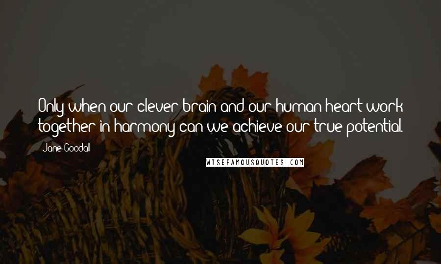 Jane Goodall Quotes: Only when our clever brain and our human heart work together in harmony can we achieve our true potential.