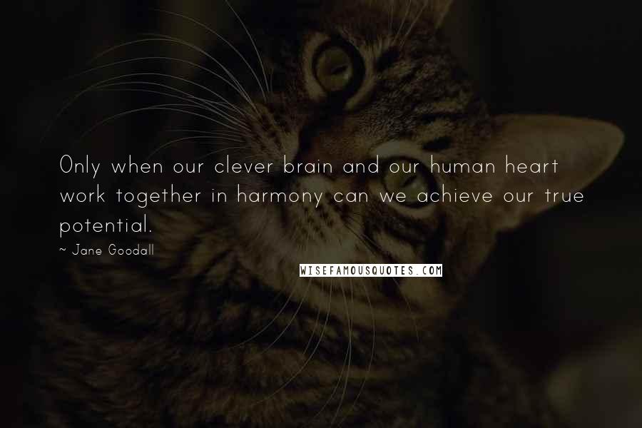 Jane Goodall Quotes: Only when our clever brain and our human heart work together in harmony can we achieve our true potential.