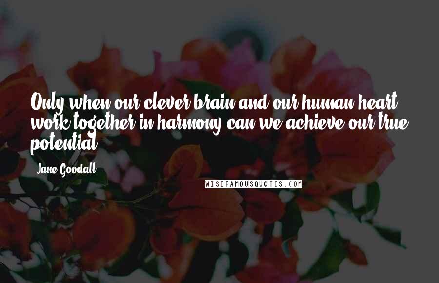 Jane Goodall Quotes: Only when our clever brain and our human heart work together in harmony can we achieve our true potential.