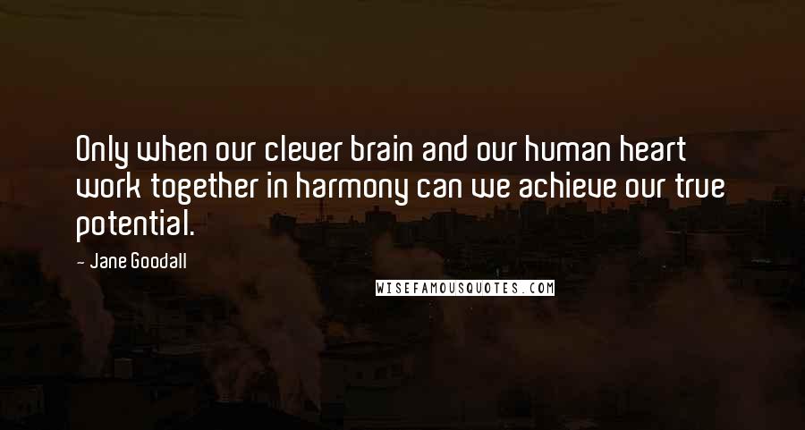 Jane Goodall Quotes: Only when our clever brain and our human heart work together in harmony can we achieve our true potential.