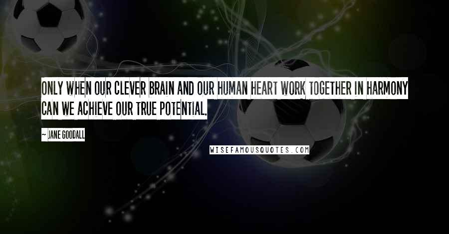 Jane Goodall Quotes: Only when our clever brain and our human heart work together in harmony can we achieve our true potential.