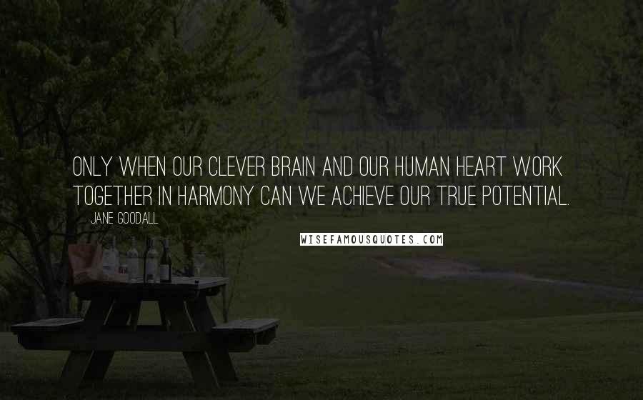 Jane Goodall Quotes: Only when our clever brain and our human heart work together in harmony can we achieve our true potential.