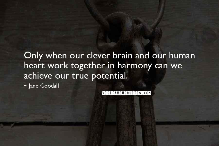 Jane Goodall Quotes: Only when our clever brain and our human heart work together in harmony can we achieve our true potential.
