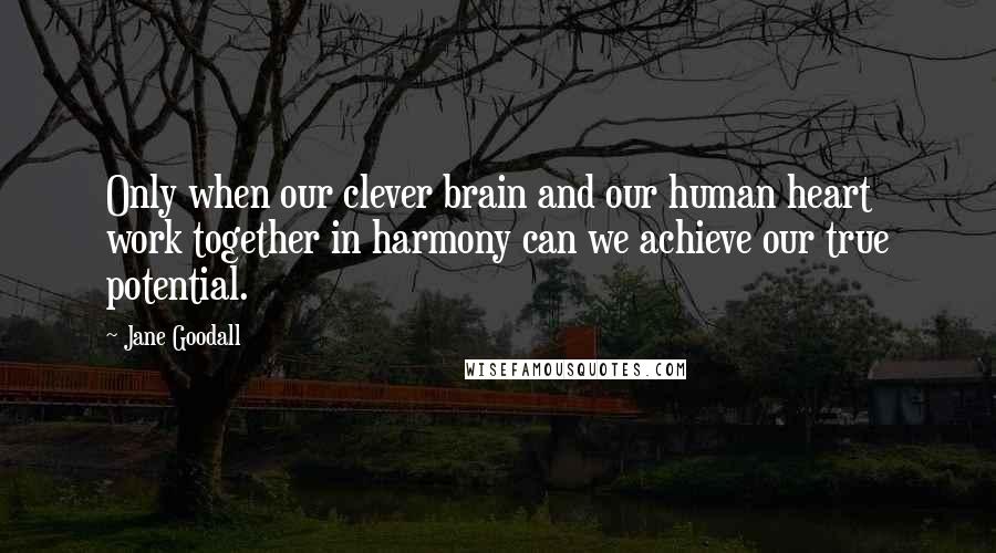 Jane Goodall Quotes: Only when our clever brain and our human heart work together in harmony can we achieve our true potential.