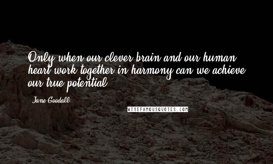 Jane Goodall Quotes: Only when our clever brain and our human heart work together in harmony can we achieve our true potential.